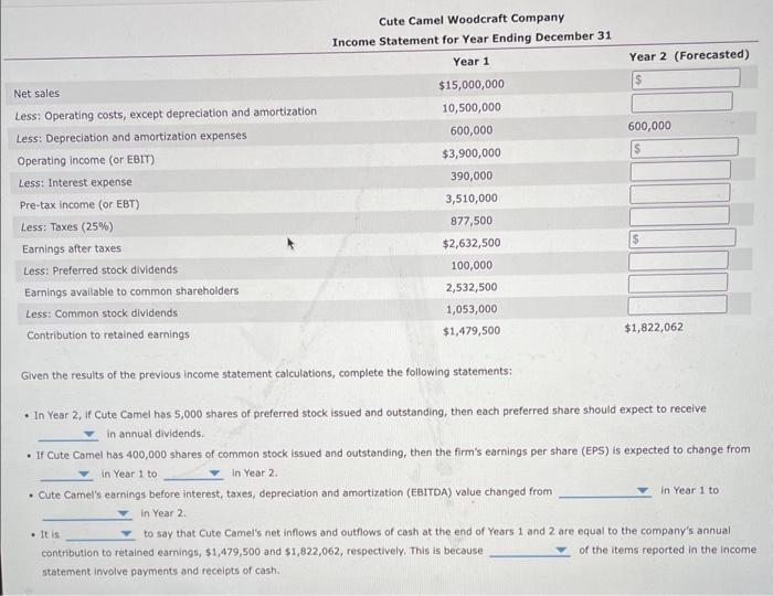 the profit and loss (P&L) statement, provides a snapshot of the financial