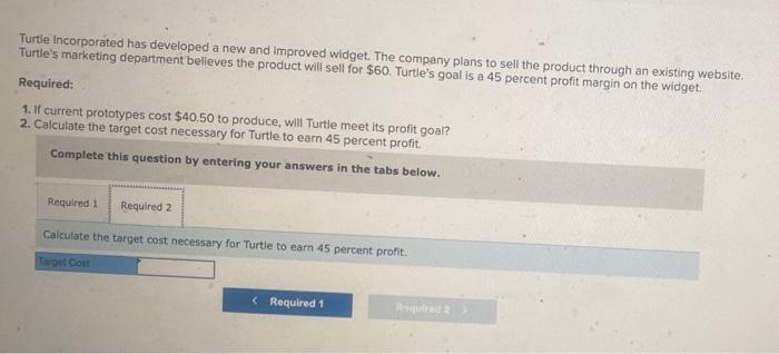 to sell the product through an existing website. Turtle's marketing department believes