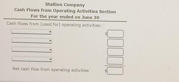 Stallion Company for the current year ended June 30 and balances of