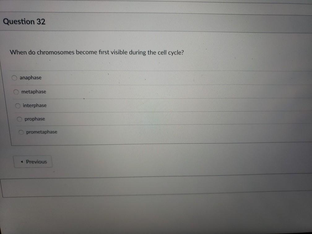 Question 32 When do chromosomes become first visible during the cell cycle?