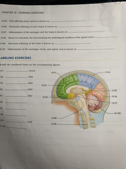 CHAPTER 10 LEARNING EXERCISES 10.85. Pain affecting many nerves is known as
