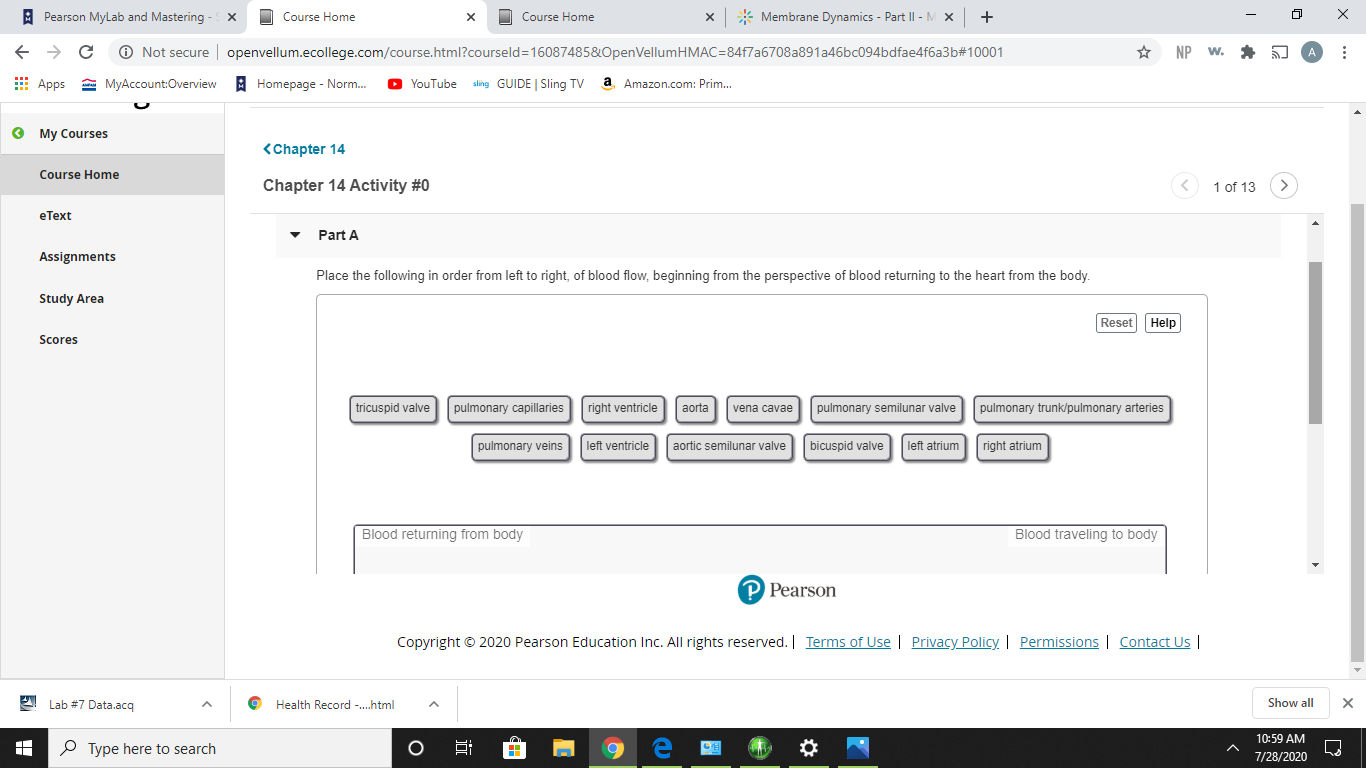 Course Home Membrane Dynamics - Part II - M | + NP