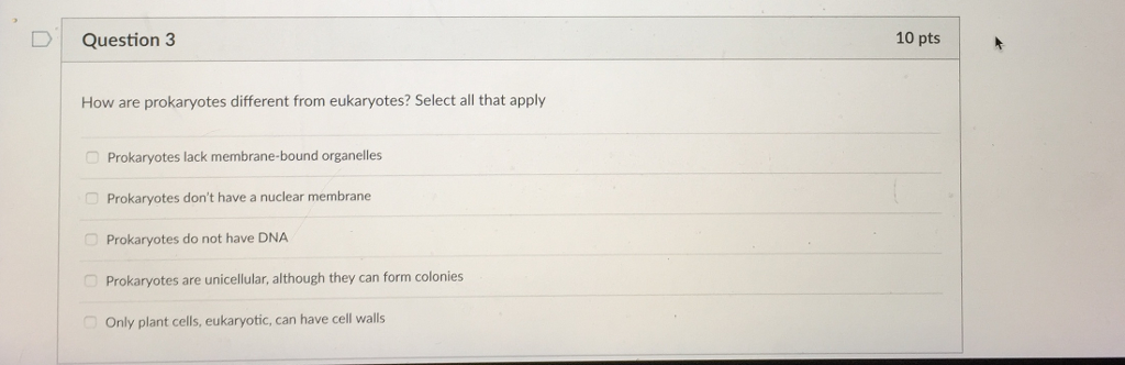 Question 3 How are prokaryotes different from eukaryotes? Select all that apply