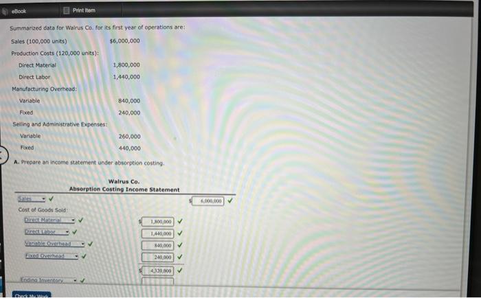eBook Print tem Summarized data for Walrus Co. for its first year