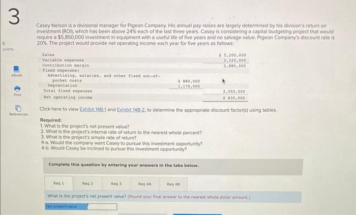 3 6 points Casey Nelson is a divisional manager for Pigeon Company.