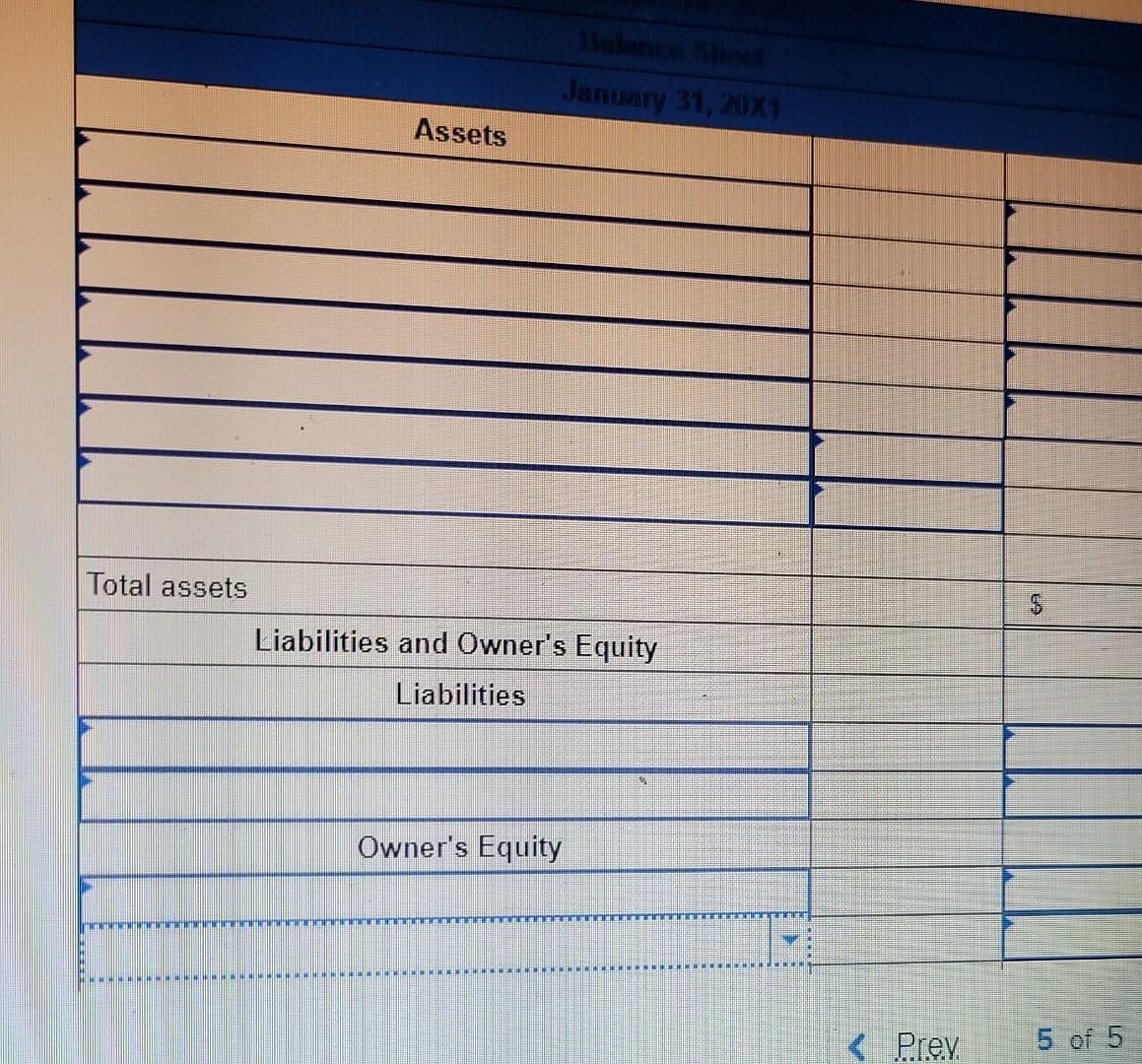 made by the owner during the month. 3. Journalize and post the