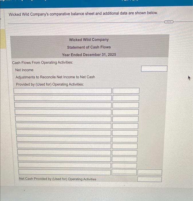 Operating Activities: Net Cash Provided by (Used for) Operating Activities