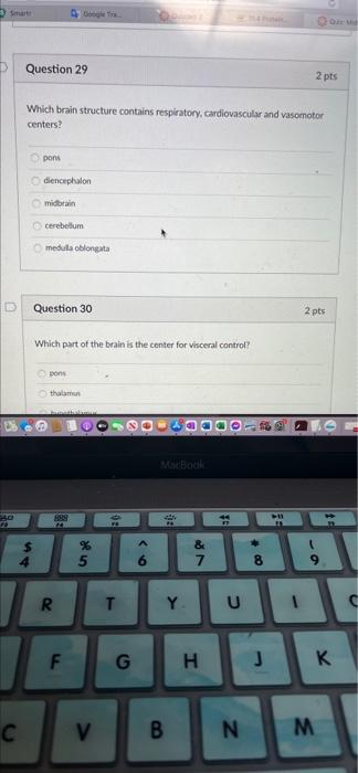 60 Smart Google Tra Question 29 2 pts Which brain structure contains