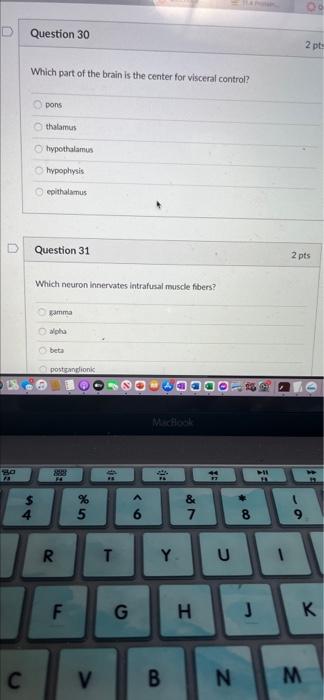 respiratory, cardiovascular and vasomotor centers? pons Odiencephalon 00 midbrain Ocerebellum medulla oblongata