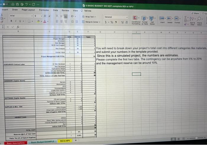 Insert Draw X Arial DS BASIC BUDGET DO NOT complete ROI or