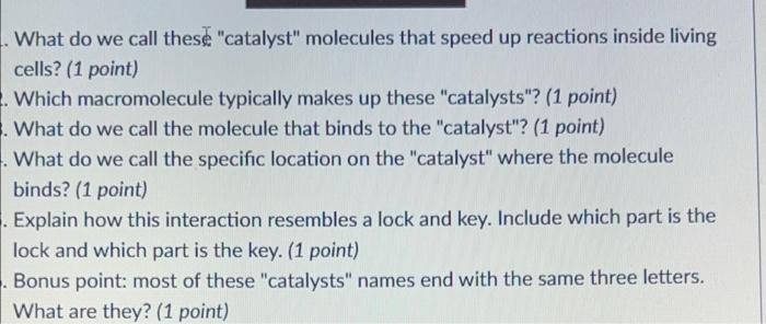 What do we call these "catalyst" molecules that speed up reactions inside