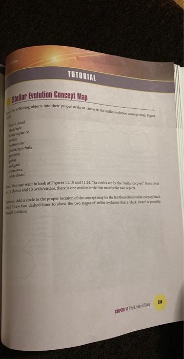 TUTORIAL Stellar Evolution Concept Map the following objects into their proper ovala
