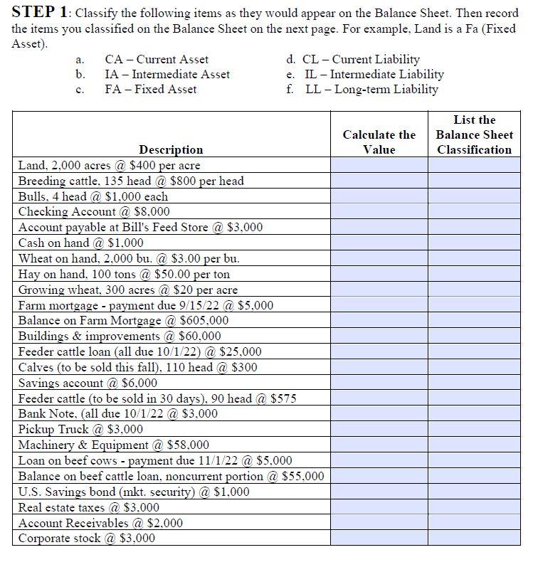 STEP 1: Classify the following items as they would appear on the