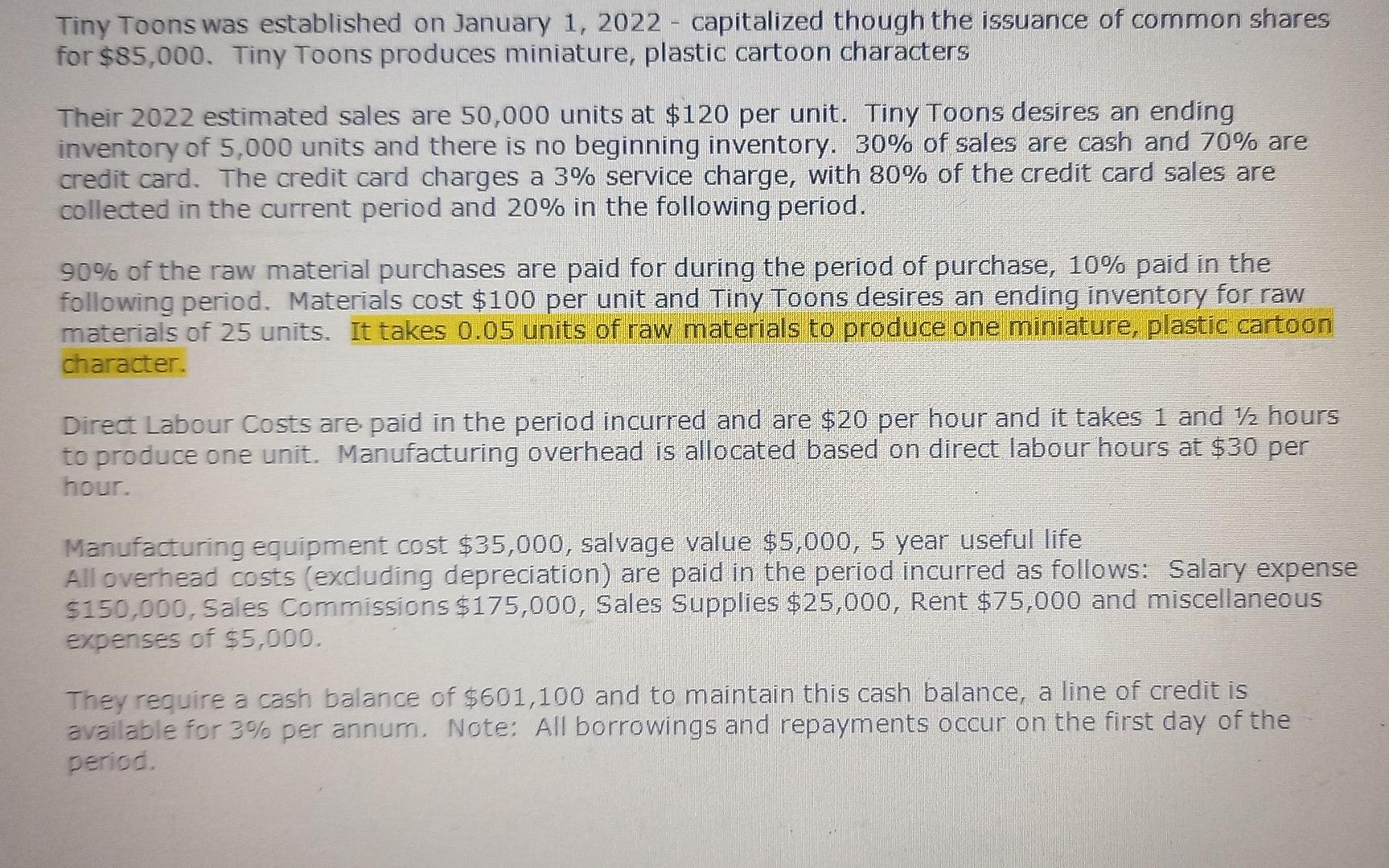 Tiny Toons was established on January 1, 2022 capitalized though the issuance