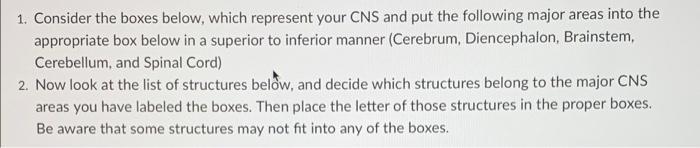 1. Consider the boxes below, which represent your CNS and put the