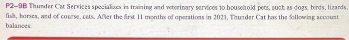 P2-9B Thunder Cat Services specializes in training and veterinary services to household