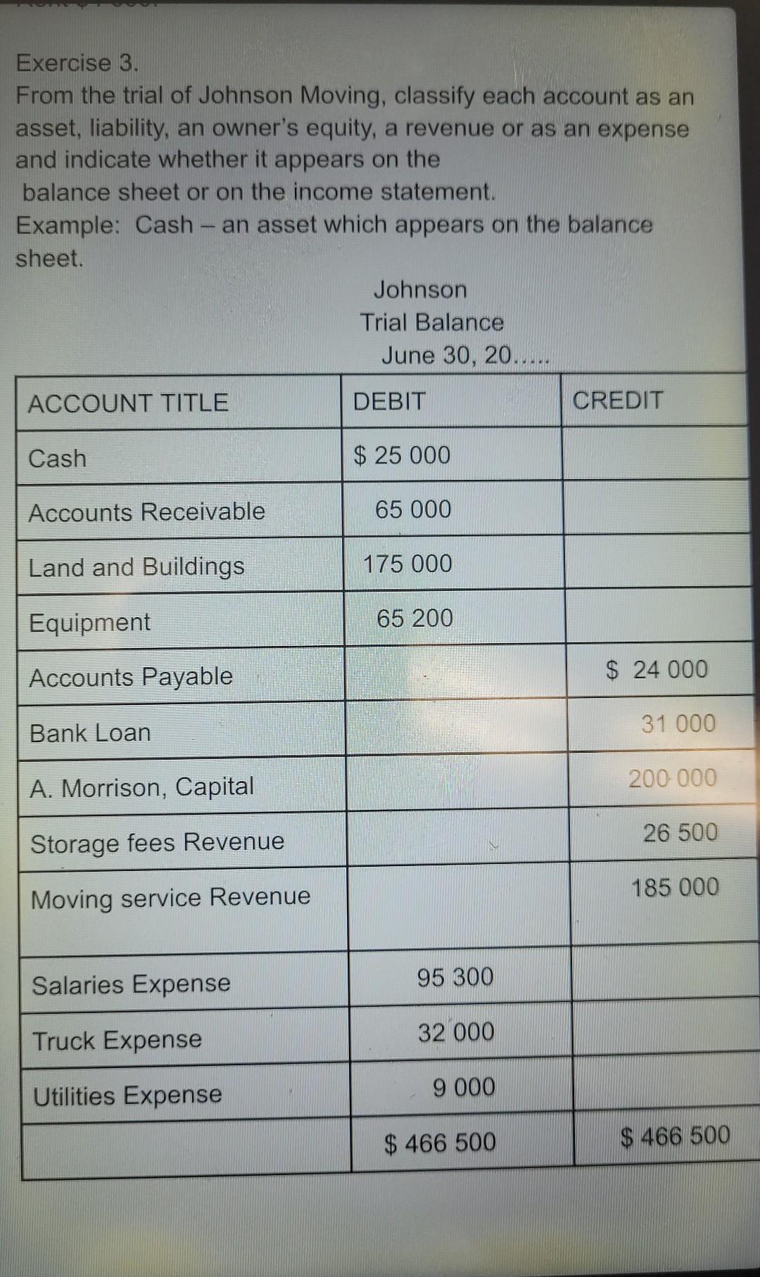 an asset, liability, an owner's equity, a revenue or as an expense