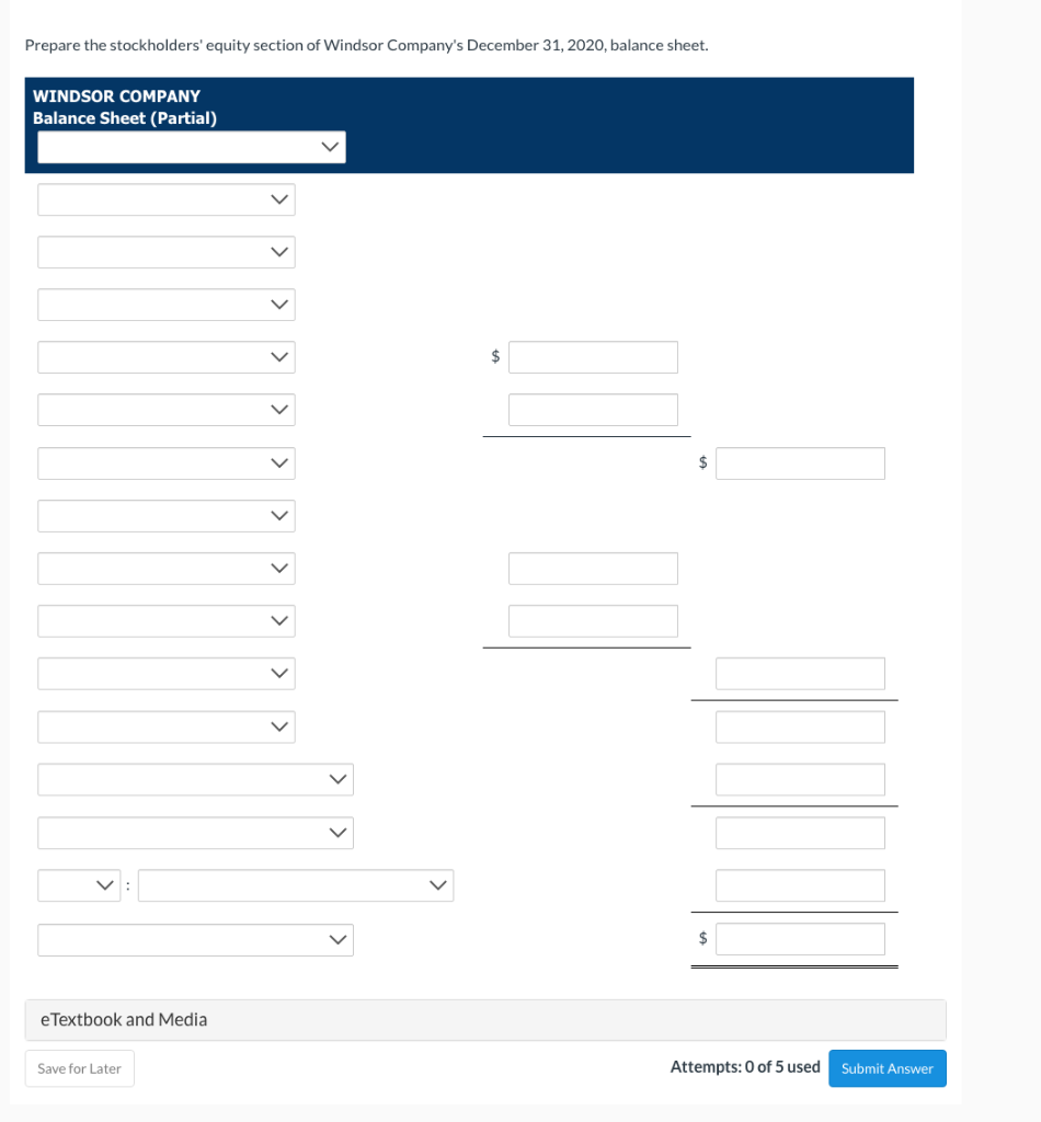 at December 31, 2019: common stock $525,000; paid-in capital in excess of