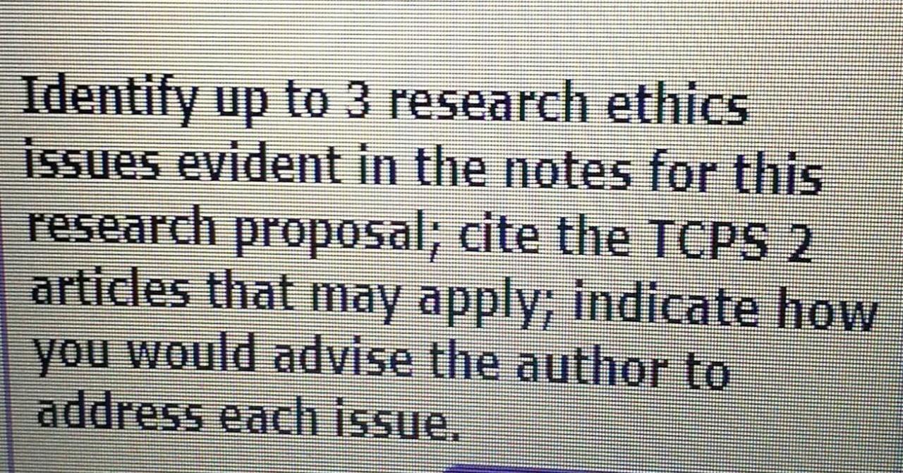 Identify up to 3 research ethics issues evident in the notes for