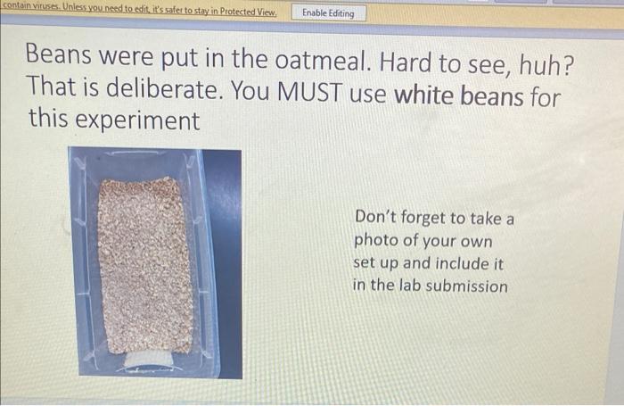 Fill in the data table to the right. Initial # of beans