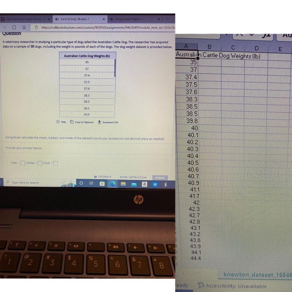 e My Courses & Coune Access-CX Excel Activity Module 2 x Assignment