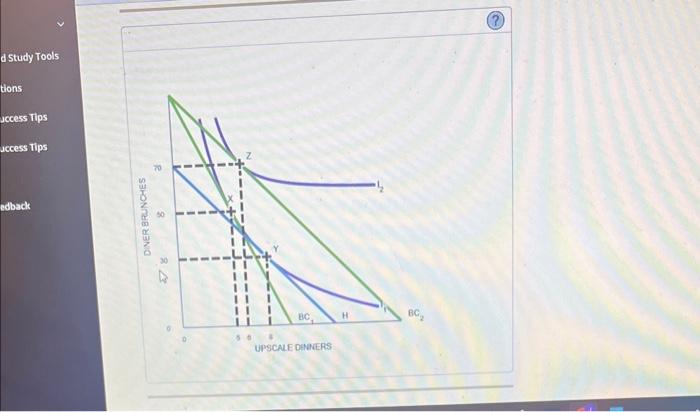 back Antonio and Caroline are two friends living in Chicago who love