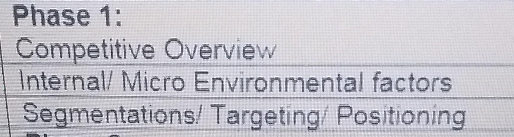 Phase 1: Competitive Overview Internal/ Micro Environmental factors Segmentations/ Targeting/Positioning