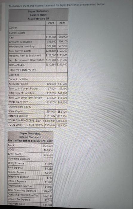 The balance sheet and income statement for Sepas Electronics are presented