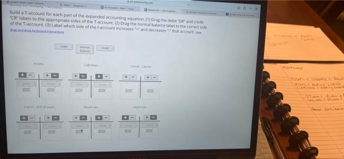 expanded accounting equation, calculate and enter the answers for each question. You