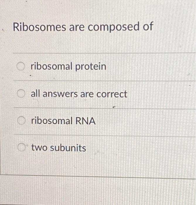 on mRNA is made up of codons that specify amino acids is