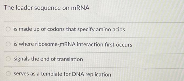 a template for DNA replication Ribosomes are composed of ribosomal protein all