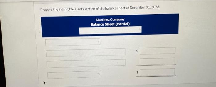 years. The following cash transactions may have affected intangible assets during 2023.
