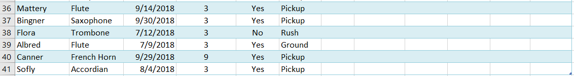 Shipping Group Insurance Shipping Instrument Rental Date Rental Perio Coverag Code Code