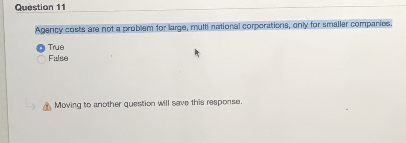also maximize the stockholders' wealth as of the current year. True O