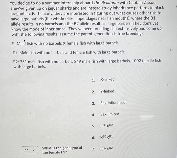  You decide to do a summer internship aboard the Belafonte with