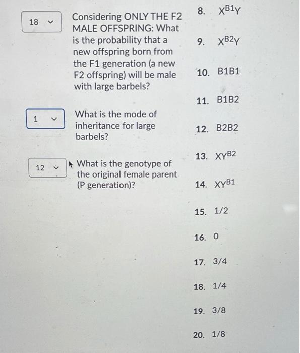 Captain Zissou. They've given up on jaguar sharks and are instead study