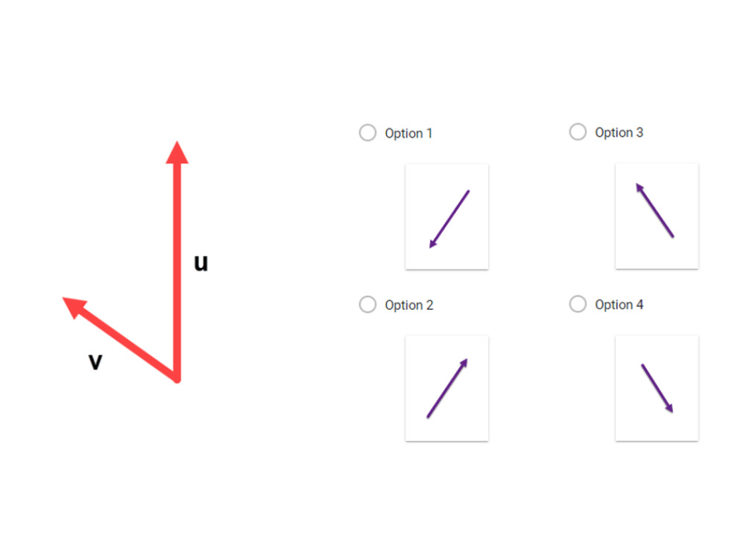 form of v? [7.02] A. v=20i+4j B. v=35i+1lj c. v=5i+3j D. v=5i3j
