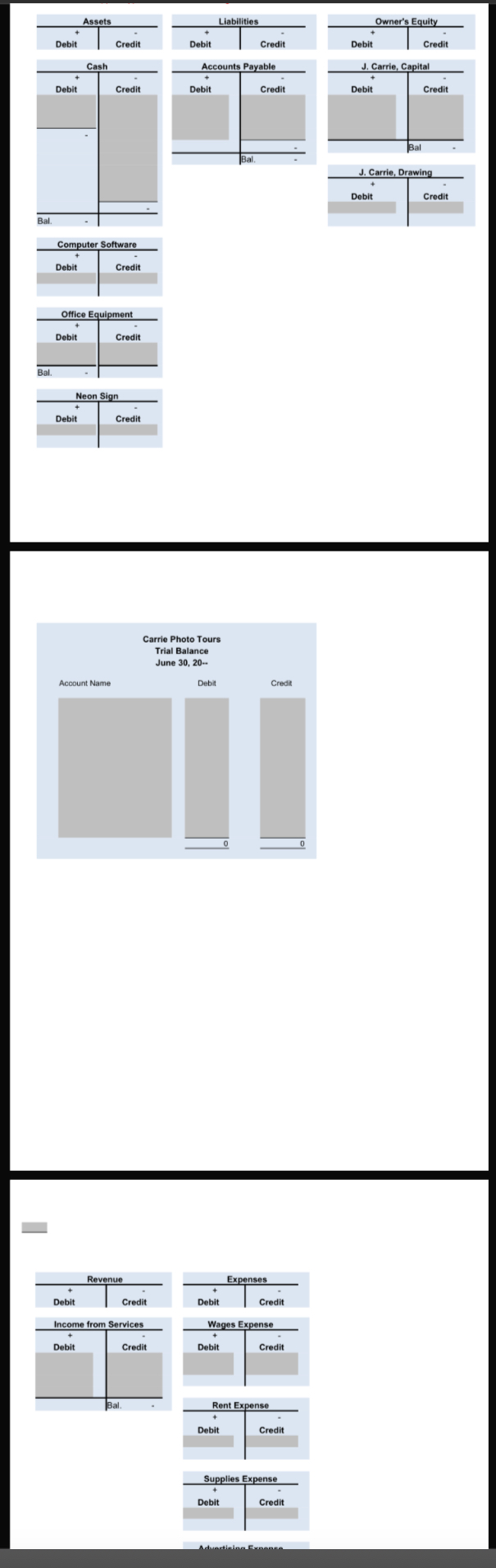 this year:The accountant prepared the following chart of accounts:AssetsRevenueCashIncome from ServicesComputer SoftwareOffice