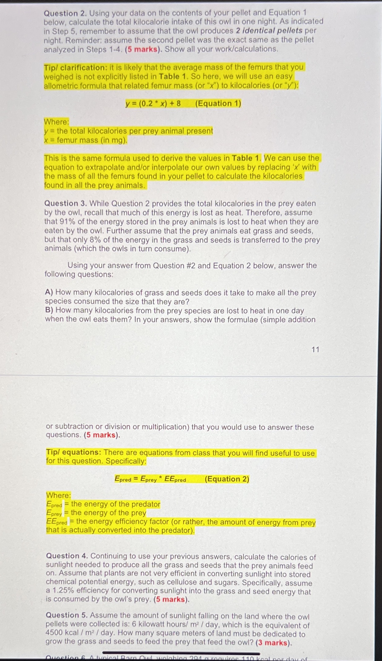 bones) Question 2. Using your data on the contents of your pellet