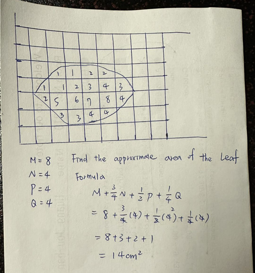 Looking at the picture below, do you think his method of