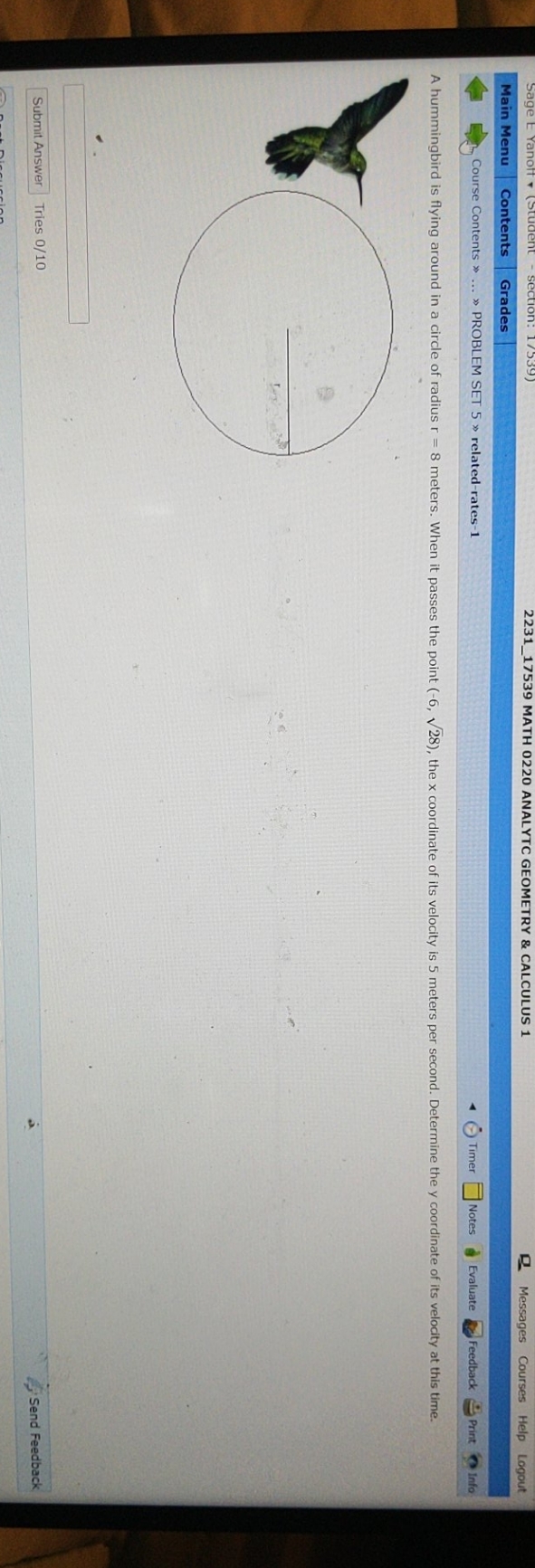 image text in transcribed