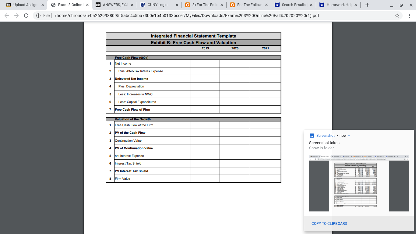balance sheet and Income Statement projections for a specific company. The company