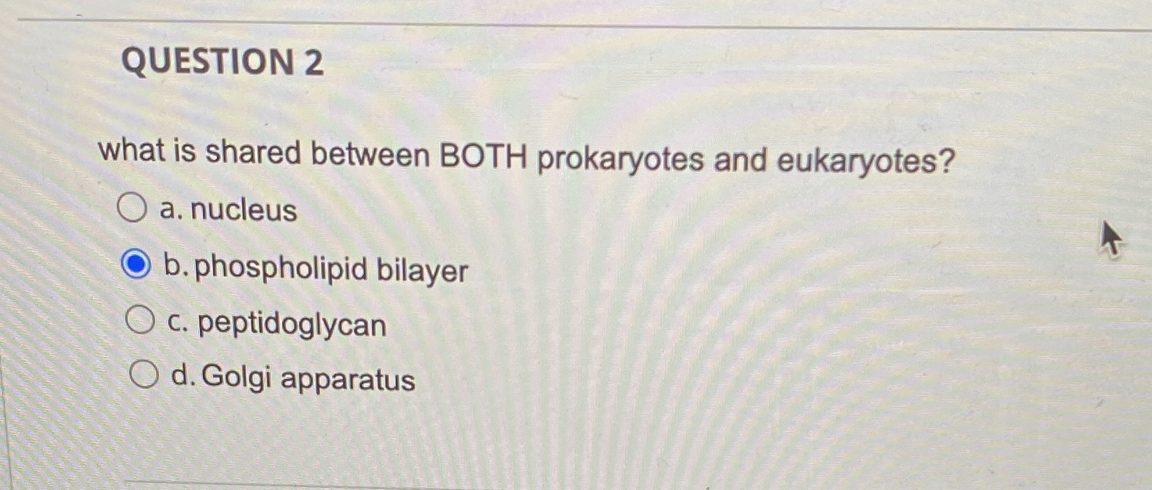 prokaryotes and eukaryotes? O a. nucleus O b. phospholipid bilayer O c.