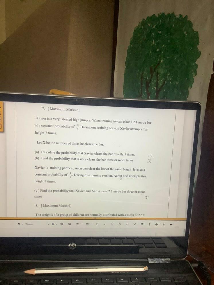 K B(d) Write down the number of days the tomato sales will