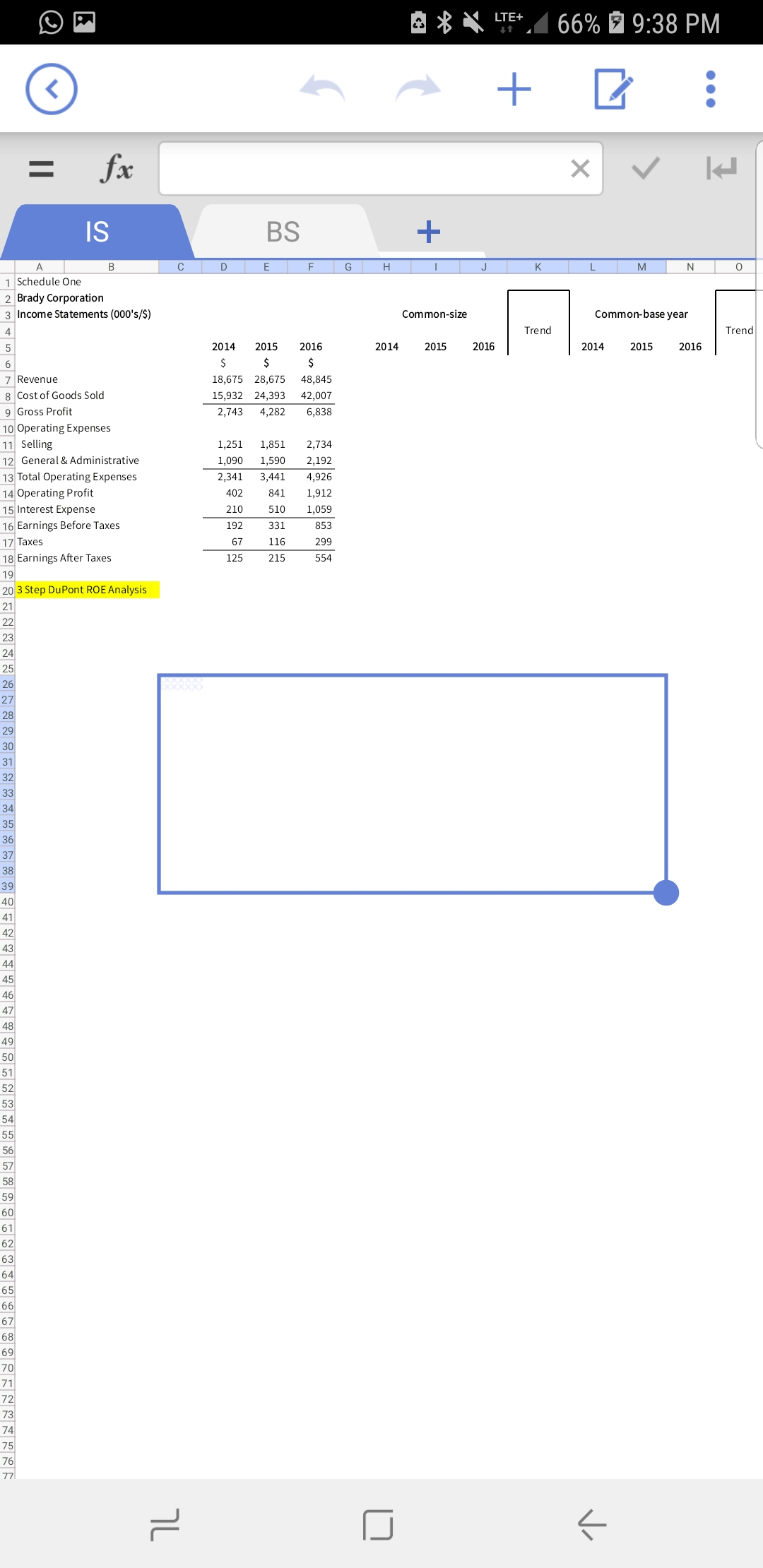  Complete the common-size and common-base year financial statements [Income Statement (IS)