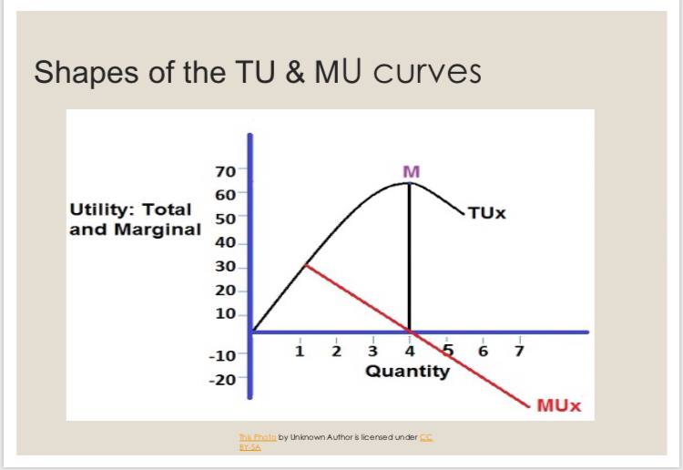 the computations. (10 pts) Determine also the TU at equilibrium point. Show