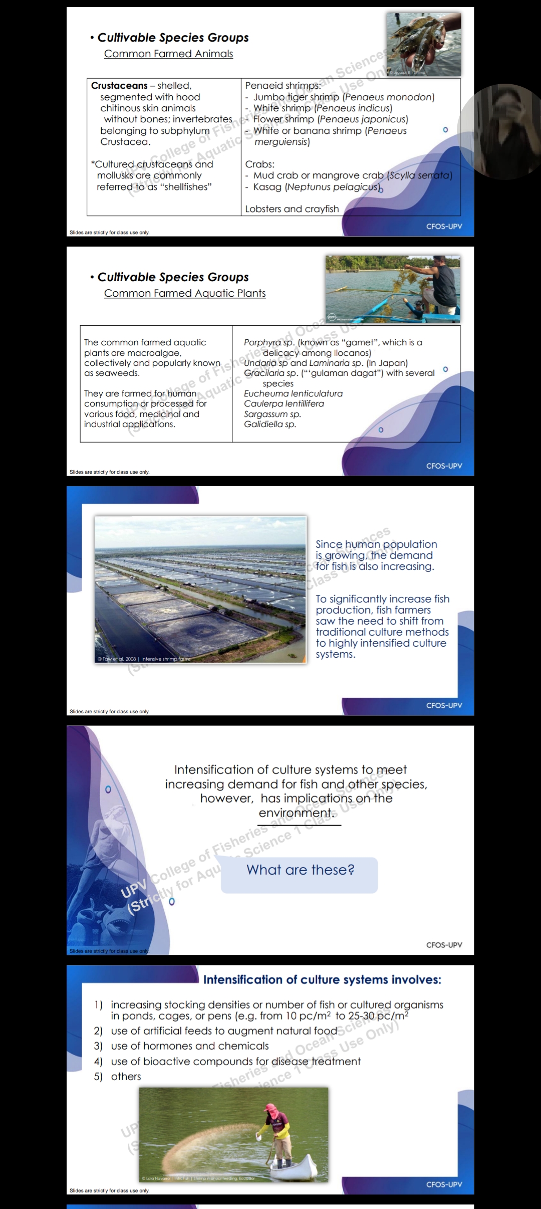 the following questions " What have you learned" questions including the details