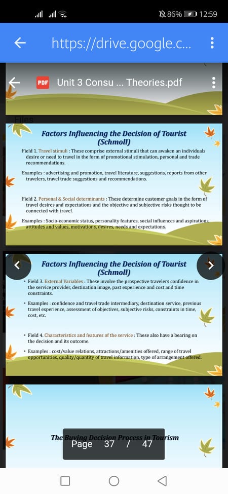 . Exar confidence and travel trade Intermediary, destination service previous tra PDFereldnit