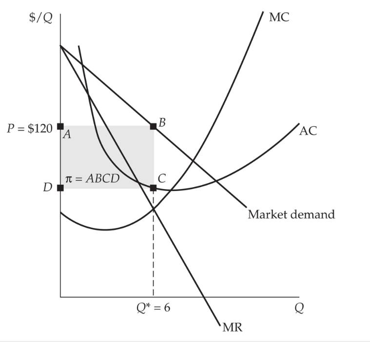 pen and paper. Ty-ped only.How a monopoly determines the optimum output level