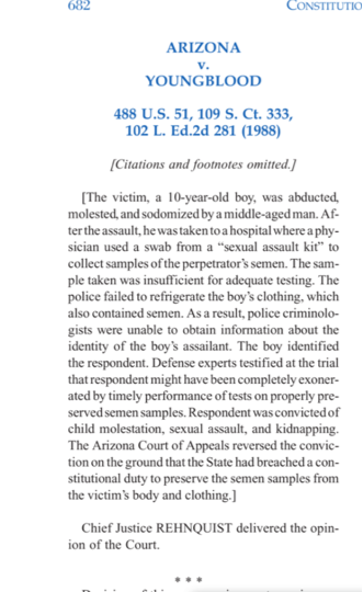 Issue: What overarching issue was the court addressing or resolving (one